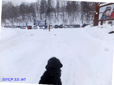 1712302484.gif