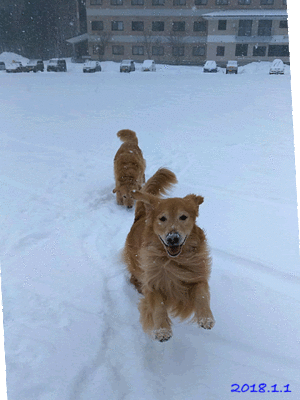 1801011671.gif