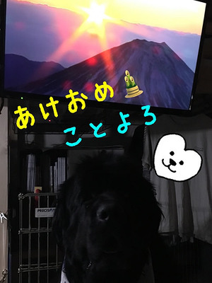 1801013906.jpg