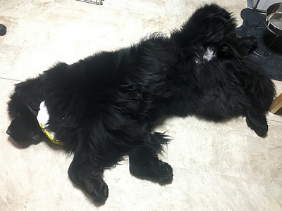 1801013925.jpg
