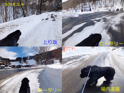 180206.jpg