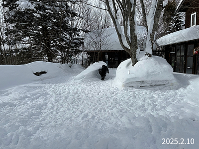 210IMG_3427(1).jpg