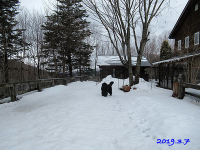 3250.jpg
