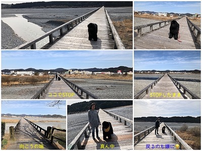Collage蓬莱橋(1).jpg