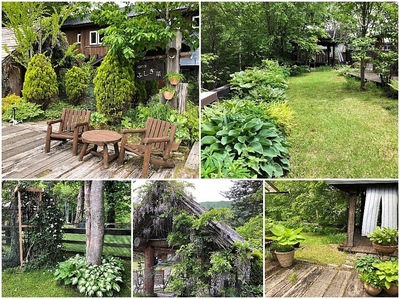 Collage６月前半の庭(1).jpg
