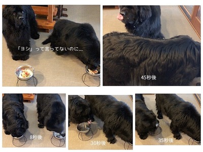 Collage_Fotor実食１(1).jpg