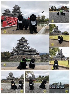 Collage_Fotor松本城(1).jpg
