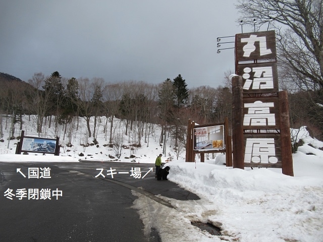 大尻沼 看板犬newfyの楽しい毎日