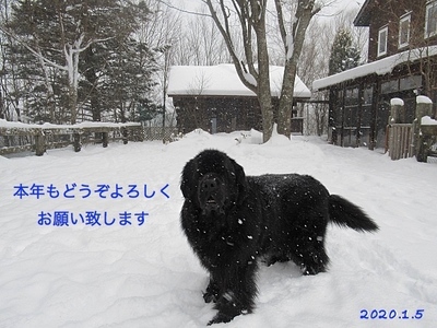 IMG_7689_Fotor_Fotor.jpg